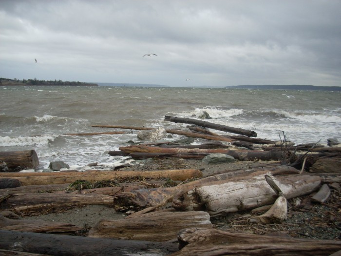 oak harbor